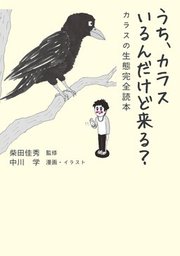 どっちが強い カラスｖｓコウモリ 危険な鳥獣エアバトル マンガ 漫画 スライウム ブラックインクチーム 柴田佳秀 角川まんが科学シリーズ 電子書籍試し読み無料 Book Walker