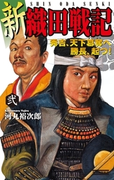 最新刊】天下争覇3 天下を掴み取れ!! - 新書 河丸裕次郎（歴史群像新書 ...