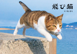 おすすめ猫写真集 集めました 電子書籍ストア Book Walker