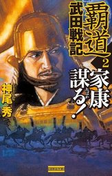 覇道武田戦記2　家康謀る！