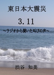 東日本大震災 ３．１１　～ラジオから聞こえた叫びの声～