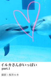 イルカさんがいっぱいpart 1 写真集 桜井ルカ イルカさんがいっぱい 電子書籍試し読み無料 Book Walker