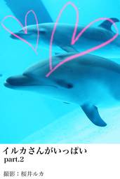 イルカさんがいっぱいpart 2 写真集 桜井ルカ イルカさんがいっぱい 電子書籍試し読み無料 Book Walker