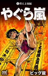 やぐら嵐 ビック錠 ビッグ錠(マンガ（漫画）)の作品一覧|電子書籍無料試し読みならBOOK