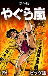 やぐら嵐 ビック錠 ビッグ錠(マンガ（漫画）)の作品一覧|電子書籍無料試し読みならBOOK