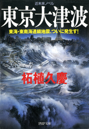 近未来ノベル 東京大津波 東海・東南海連鎖地震、ついに発生す！