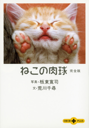 おすすめ猫写真集 集めました 電子書籍ストア Book Walker