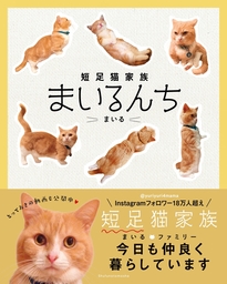 短足猫家族　まいるんち