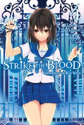 Strike the Blood, Vol. 4 (light novel)