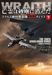 亡霊は砂塵に消えた　ステルス機特殊部隊７７７チェイス　下