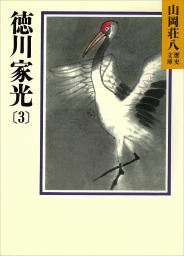 徳川家光(3)　地の声　天の声の巻