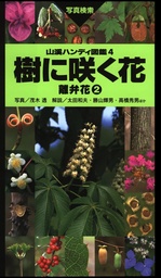 ヤマケイハンディ図鑑5 樹に咲く花 合弁花・単子葉・裸子植物 - 実用 
