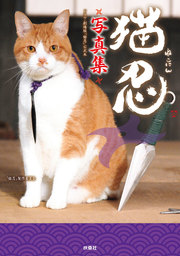 おすすめ猫写真集 集めました 電子書籍ストア Book Walker