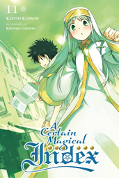 A Certain Magical Index, Vol. 11 (light novel)