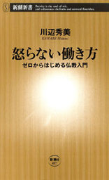 怒らない働き方―ゼロからはじめる仏教入門―