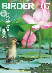 BIRDER2024年7月号