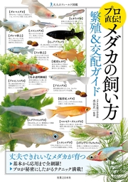 プロ直伝！メダカの飼い方　繁殖＆交配ガイド