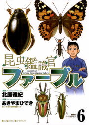 最終巻 かびんのつま ３ マンガ 漫画 あきやまひでき ビッグコミックススペシャル 電子書籍試し読み無料 Book Walker