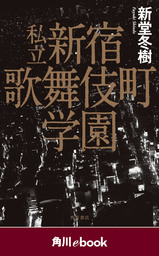 私立　新宿歌舞伎町学園　（角川ebook）