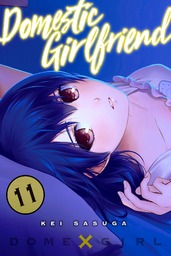 Domestic Girlfriend Volume 11