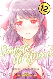 Domestic Girlfriend Volume 12