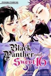 Black Panther and Sweet 16 Volume 5
