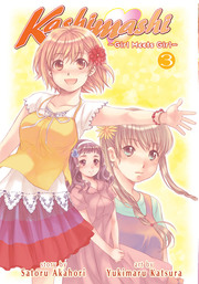 Kashimashi ~Girl Meets Girl~ Vol. 3