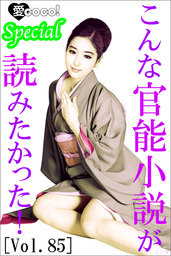 こんな官能小説が読みたかった！vol.85