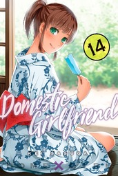 Domestic Girlfriend Volume 14