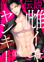 伝説の雌イキヤンキー（1）