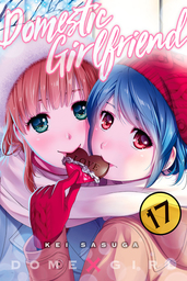Domestic Girlfriend Volume 17