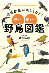 日本の野鳥識別図鑑 実用 中野泰敬 叶内拓哉 永井凱巳 電子書籍試し読み無料 Book Walker