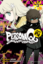 Persona Q: Shadow of the Labyrinth Side: P4 3