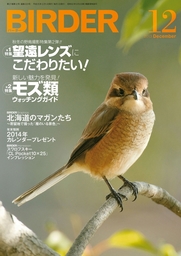 BIRDER 2013年 12月号 - 実用 BIRDER編集部：電子書籍試し読み無料