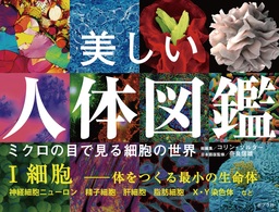美しい人体図鑑　ミクロの目で見る細胞の世界　Ｉ　細胞　──体をつくる最小の生命体