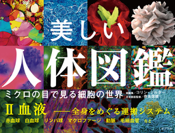 美しい人体図鑑　ミクロの目で見る細胞の世界　ＩＩ　血液　──全身をめぐる運搬システム