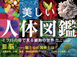 美しい人体図鑑　ミクロの目で見る細胞の世界　ＩＩＩ　脳　──脳と心の関係とは？
