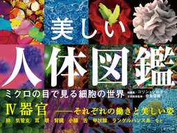美しい人体図鑑　ミクロの目で見る細胞の世界　ＩＶ　器官　──それぞれの働きと美しい姿