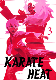 Karate Heat Volume 3