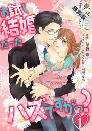 お試し結婚だったハズですがっ？【第1話】【期間限定 無料お試し版】