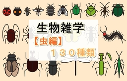 生物雑学【虫編】１３０種類
