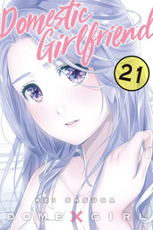 Domestic Girlfriend, Volume 20