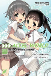 Accel World, Vol. 20 (light novel)