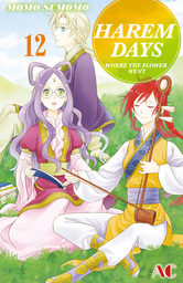 HAREM DAYS THE SEVEN-STARRED COUNTRY, Volume 12