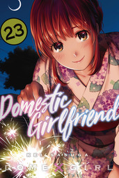 Domestic Girlfriend Volume 23
