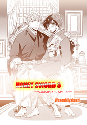Honey Sword (Yaoi Manga), Volume 3