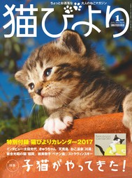 猫びより2017年1月号　Vol.91