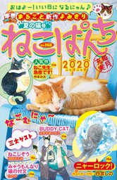 ねこぱんち No.168 夏の猫号