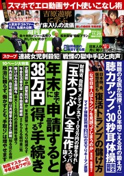 週刊ポスト 2024年 11月29日号