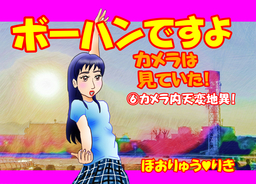 ボーハンですよ カメラは見ていた！6「カメラ内天変地異！」